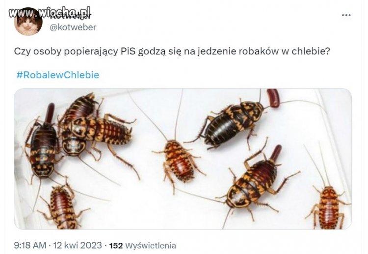 Czy wiceminister rolnictwa Janusz K.