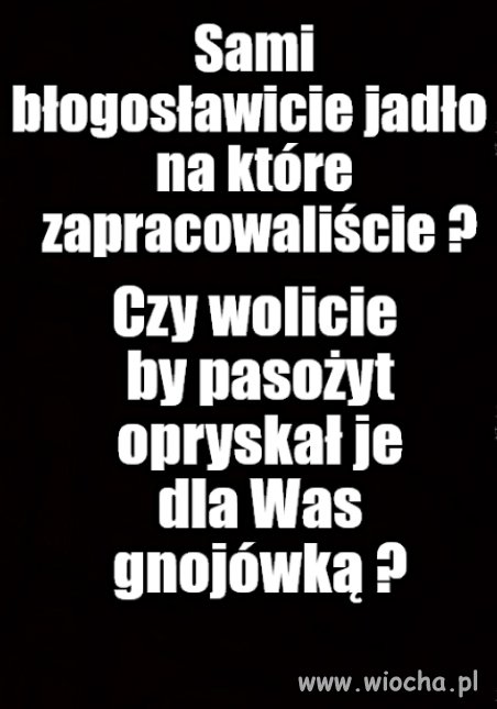 Kolega pytał