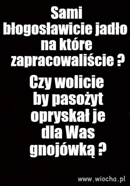 Kolega pytał