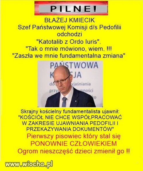 Komisja do ochrony pedofili w sekcie kościoła ... 