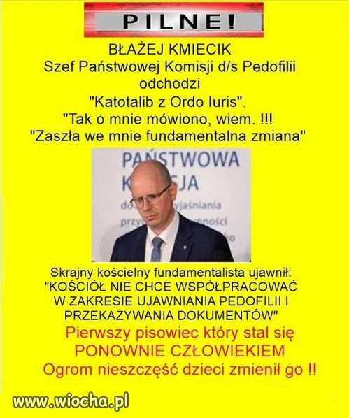 Komisja do ochrony pedofili w sekcie kościoła ... 