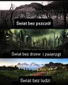 Potwierdzam