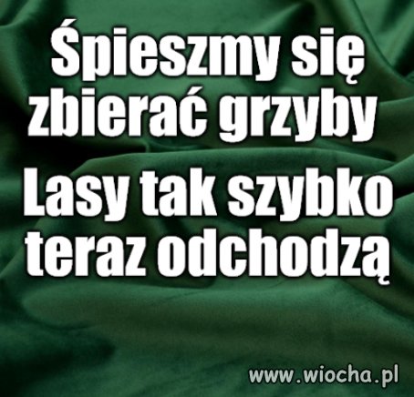 PiS-owskie poszanowanie fauny i flory