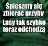 PiS-owskie poszanowanie fauny i flory