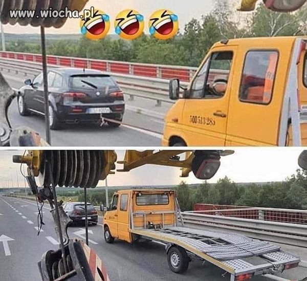 Królowa lawet.