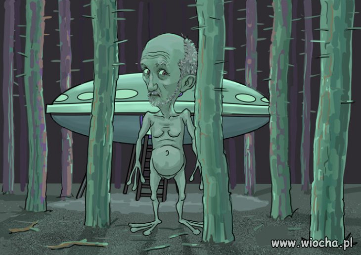 Las pod Bydgoszczą...