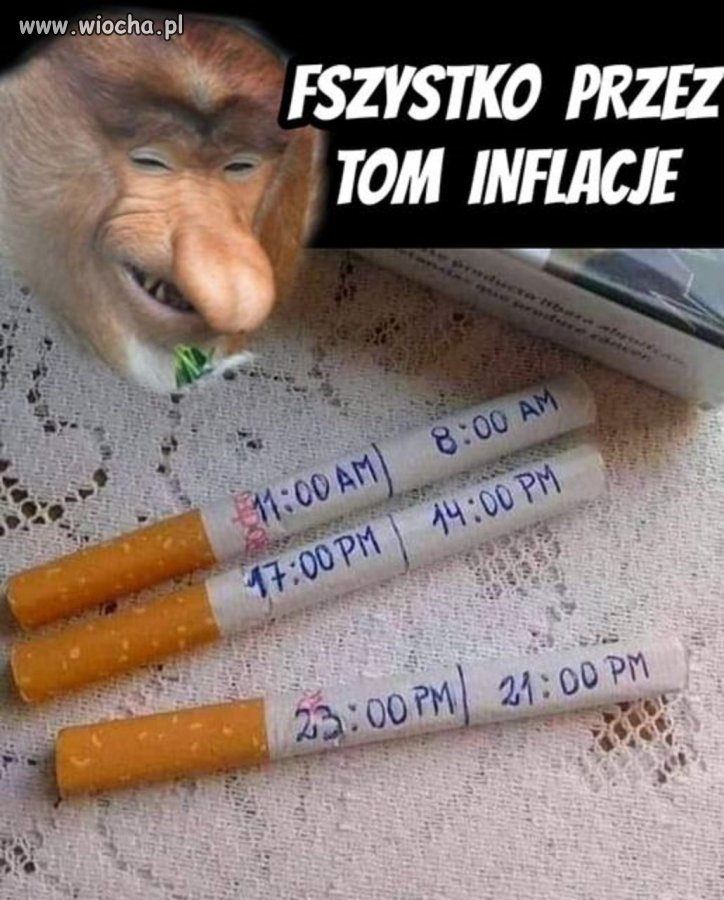 Jeżeli pytasz o cenę
