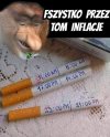 Jeżeli pytasz o cenę