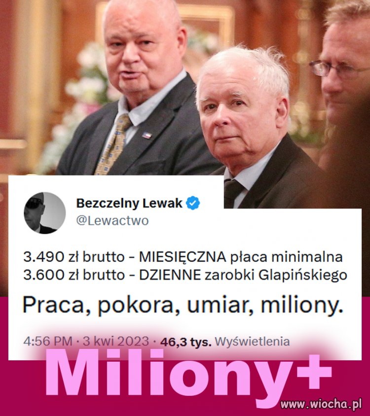 Pisiory tak was dyma kaczor i spółka 