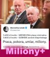 Pisiory tak was dyma kaczor i spółka 