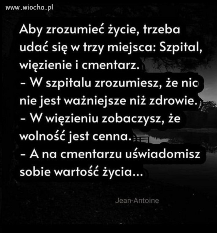 Coś w tym jest