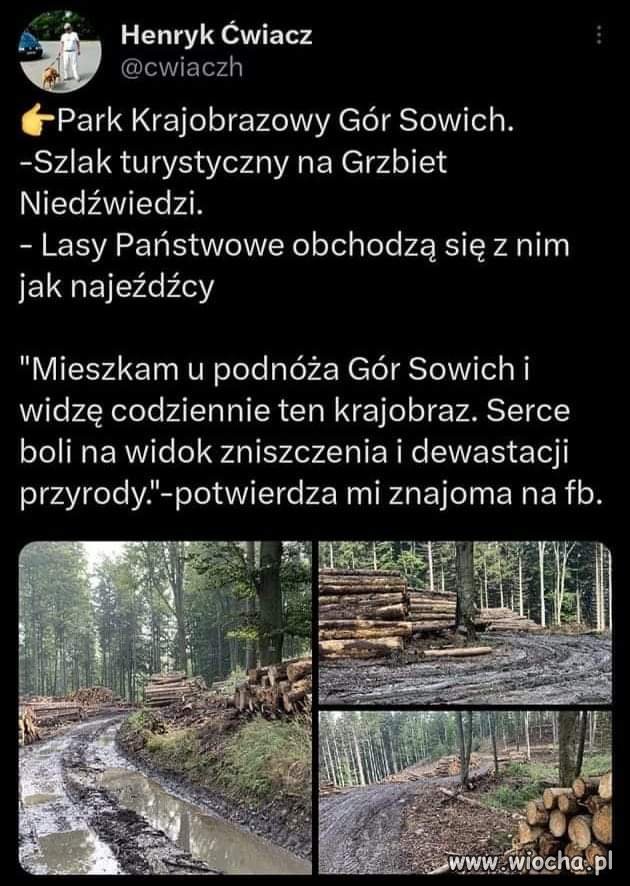Lasy państwowe 