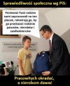 Polityka PiS w pigułce 