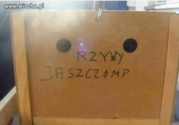 Już w pace