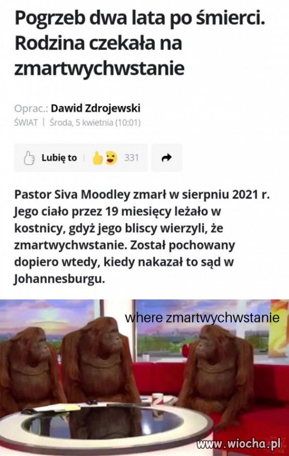 Prawie jak Witek