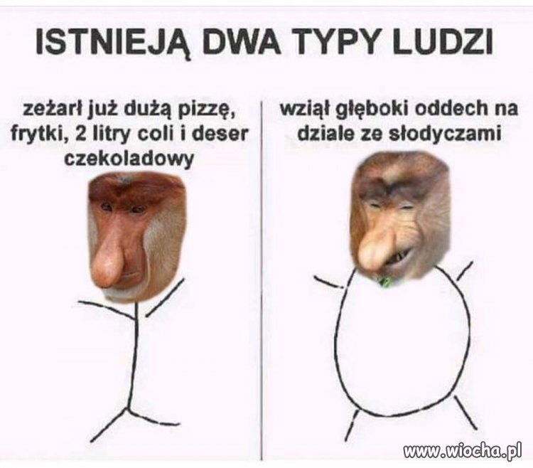 Dokładnie tak jest