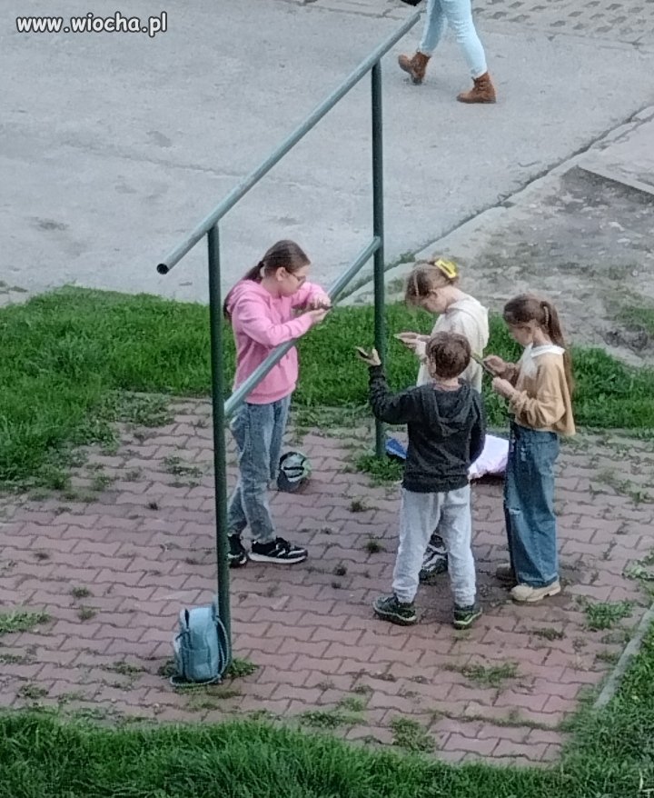 Na trzepaku