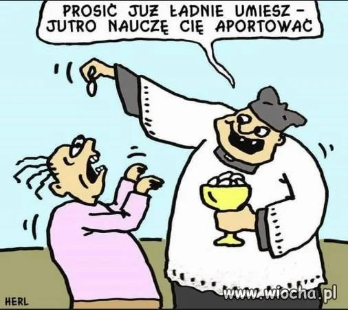 Niezawodny HERL