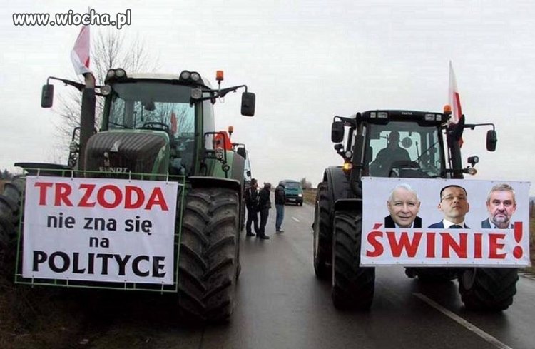 Tytułu brak.