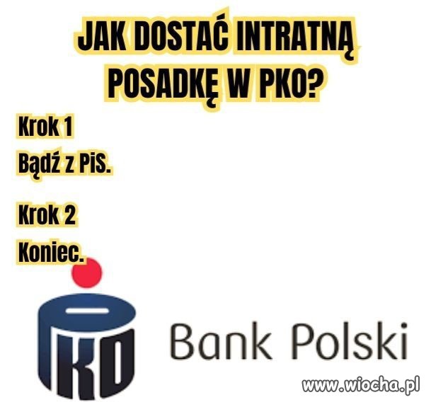 Ścieżka kariery