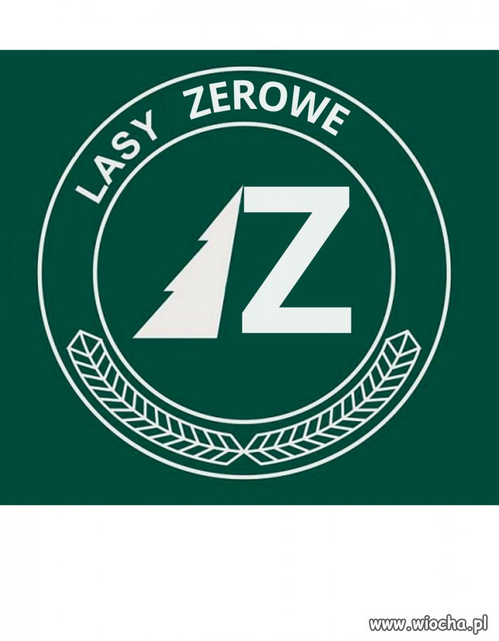 Solidarna moskwa Zbigniewa Z. rżnie polskie lasy.