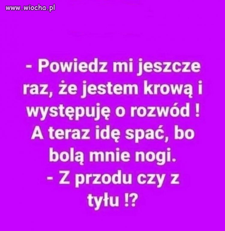 A ty idź rogi odpiłować