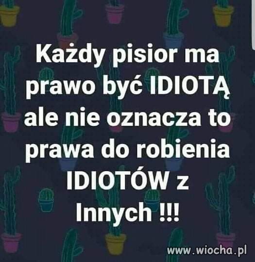 Krótki przekaz 