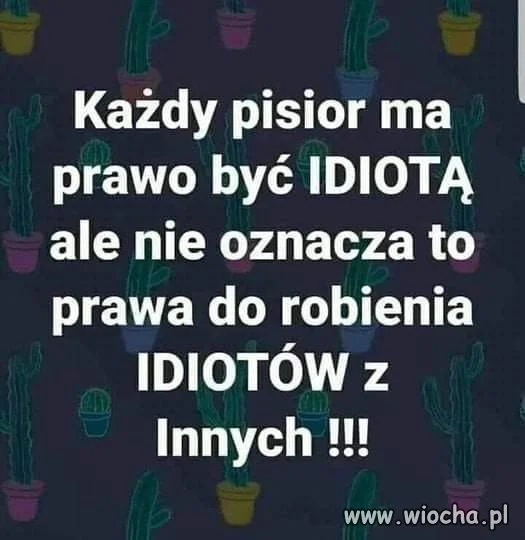 Krótki przekaz 