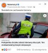 Pislicja. 