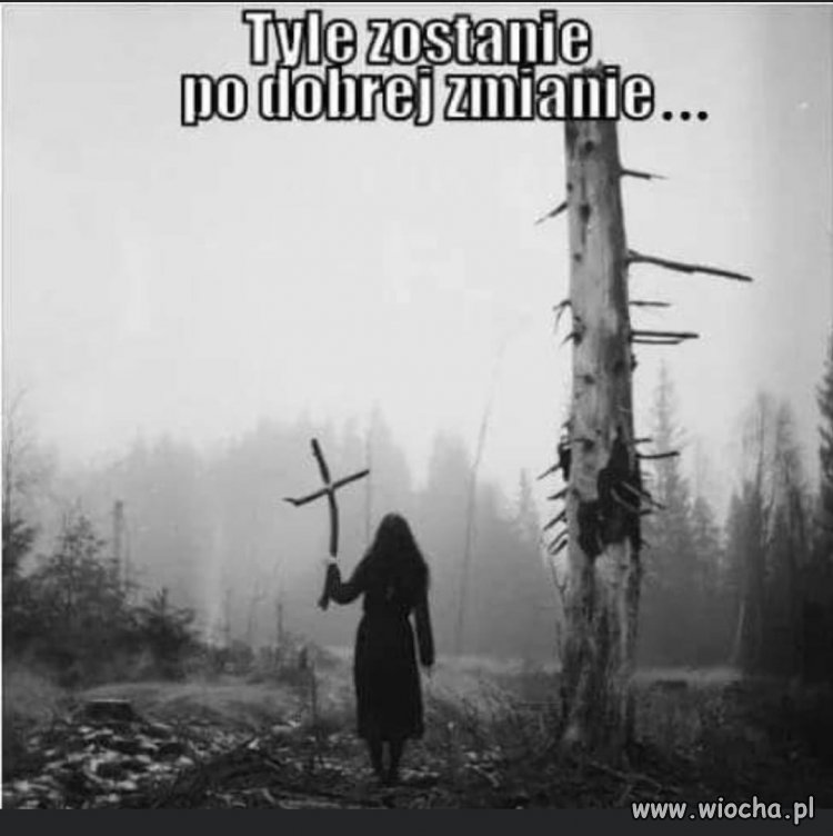 Tylko to tu zostawię