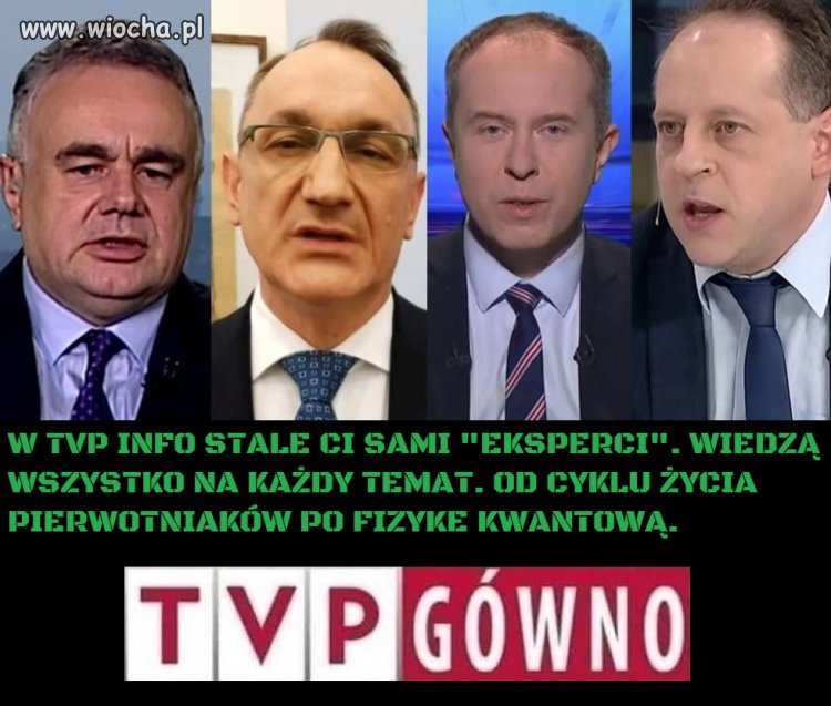 Tak zwani "eksperci" tvp