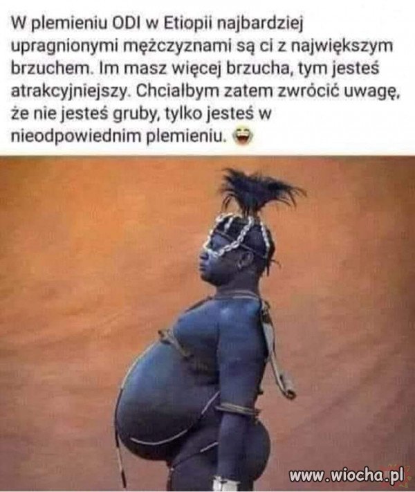 Taka ciekawostka.