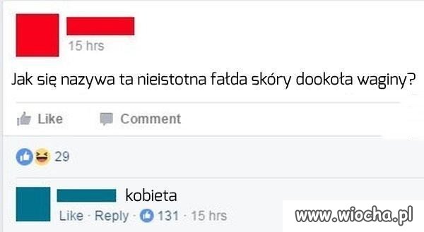 Fałda Ola.