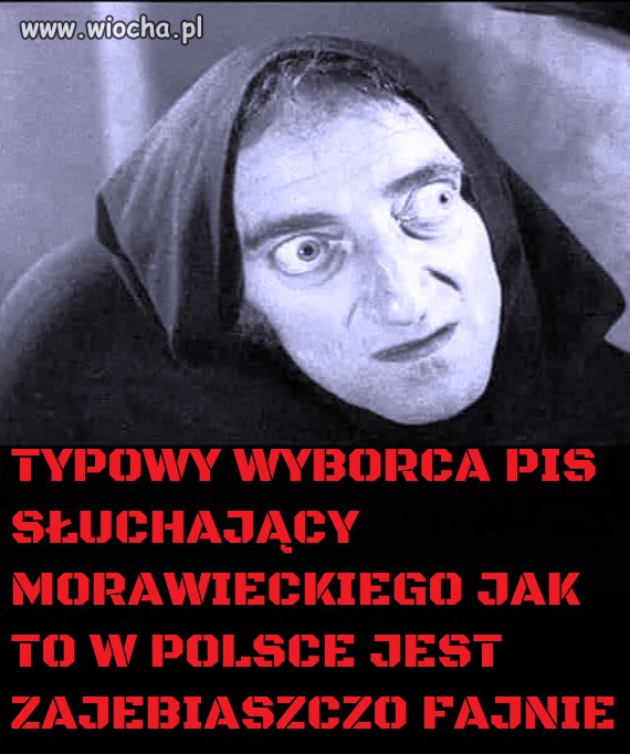 Żelazny elektorat