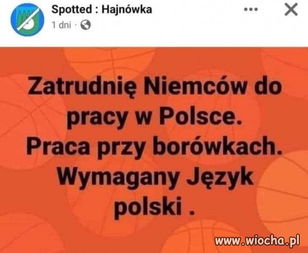 Taki dobrobyt 