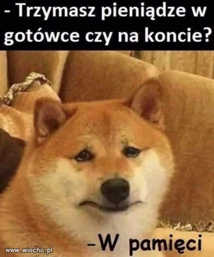 Tyle nam zostało