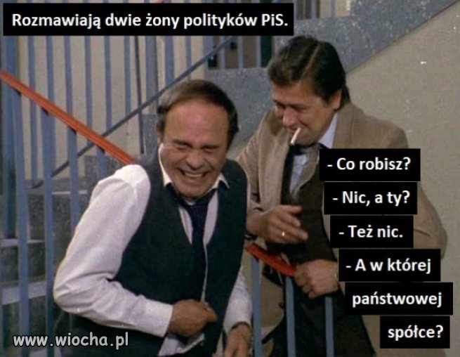 Kolejna praca żony posła PiS opłacana z publicznych pieniędzy!