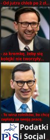 Ciołki pisowskie jak się podoba pisowski dobrobyt 