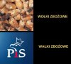 Wałki pisowskich złodziei ciąg dalszy 