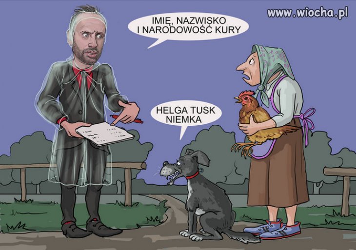 Spis powszechny drobiu😁