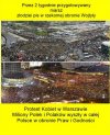 PiS zapomniał, że kobiety to połowa elektoratu...