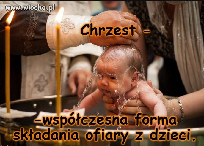 Kociąt już na szczęście ludzie nie topią,