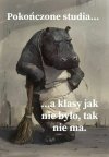 Samo życie