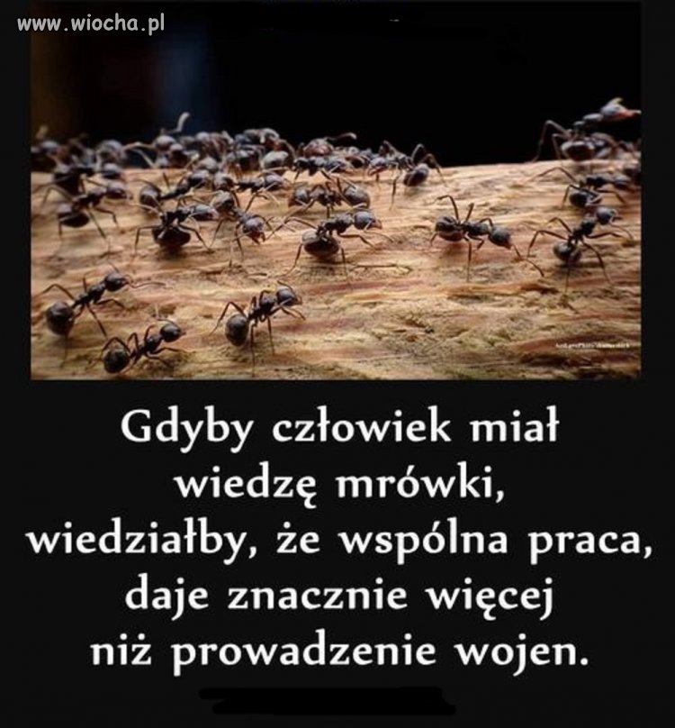 Mocne słowa
