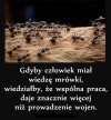 Mocne słowa
