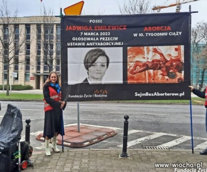 Godek wjeżdza w PiS na pełnej ku#wi, tymczasem 