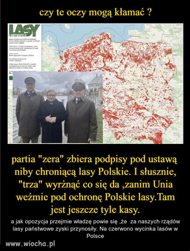 Już nie wiadomo czy płakać, czy się śmiać...z głupoty?