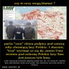 Już nie wiadomo czy płakać, czy się śmiać...z głupoty?