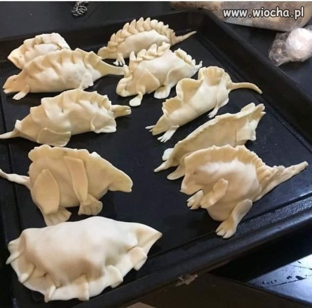 Pierozaury.