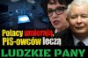Lepszy sort